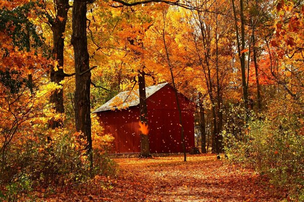 MAISON ROUGE SE TROUVE DANS LA FORÊT D AUTOMNE