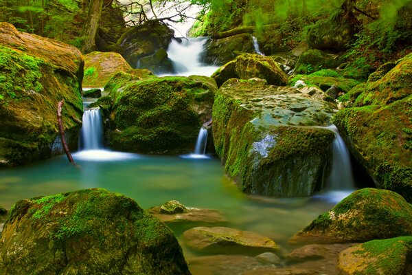 Ein See mit Mini-Wasserfällen und Moossteinen