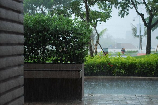 Lluvia torrencial en la ciudad verde