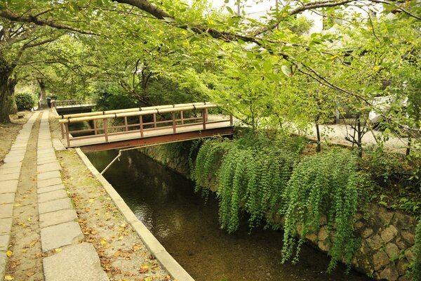A bridge in Japan. Green trees