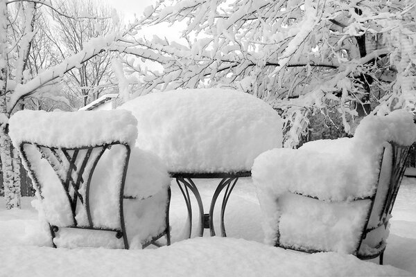 Matin après une chute de neige. Hiver