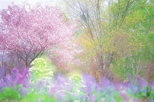 Der Frühling kam, die Frische brachte