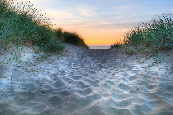 Ein Sandweg, der zum Meer führt