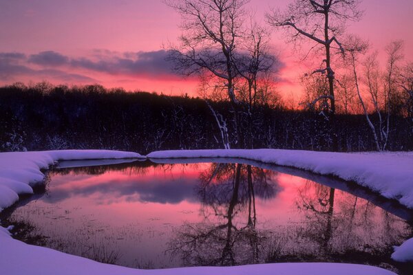 Lago en el bosque de invierno al atardecer