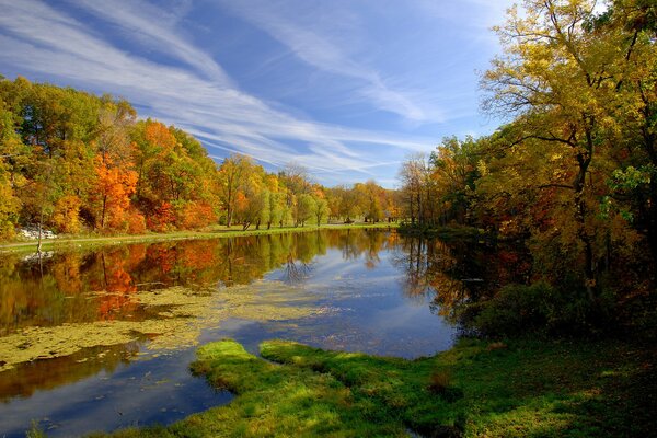 Autumn trees in the park near the pond