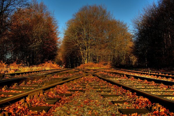 Ferrocarril en hojas de otoño
