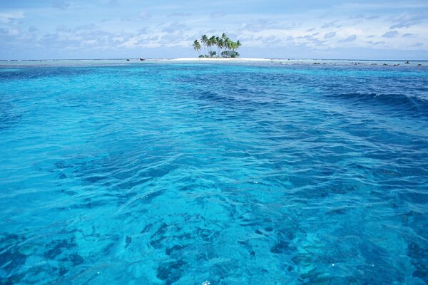 An island with palm trees in the azure ocean