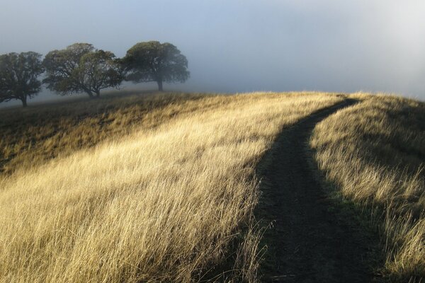 Wanderweg durch den Hügel mit trockenem Gras