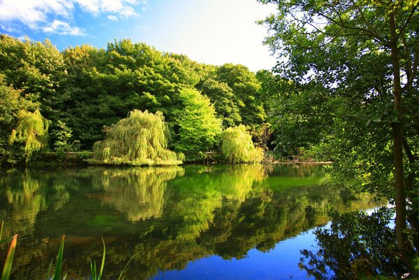 Релакс. Где не ступала нога человека