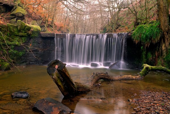 Wasserfall im Herbst Wald Hintergrund