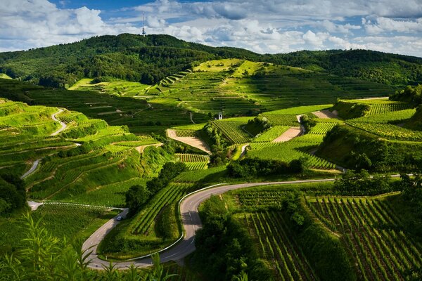 Paesaggio verde attraversato da Serpentine