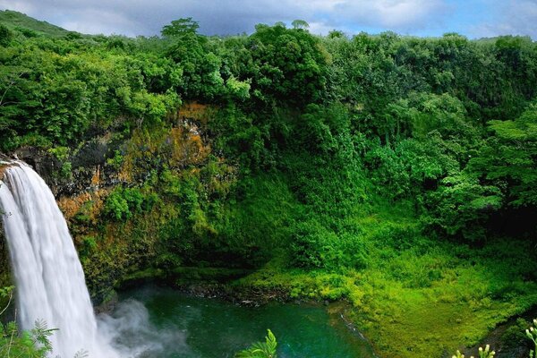 Mächtiger Wasserfall auf der grünen Insel