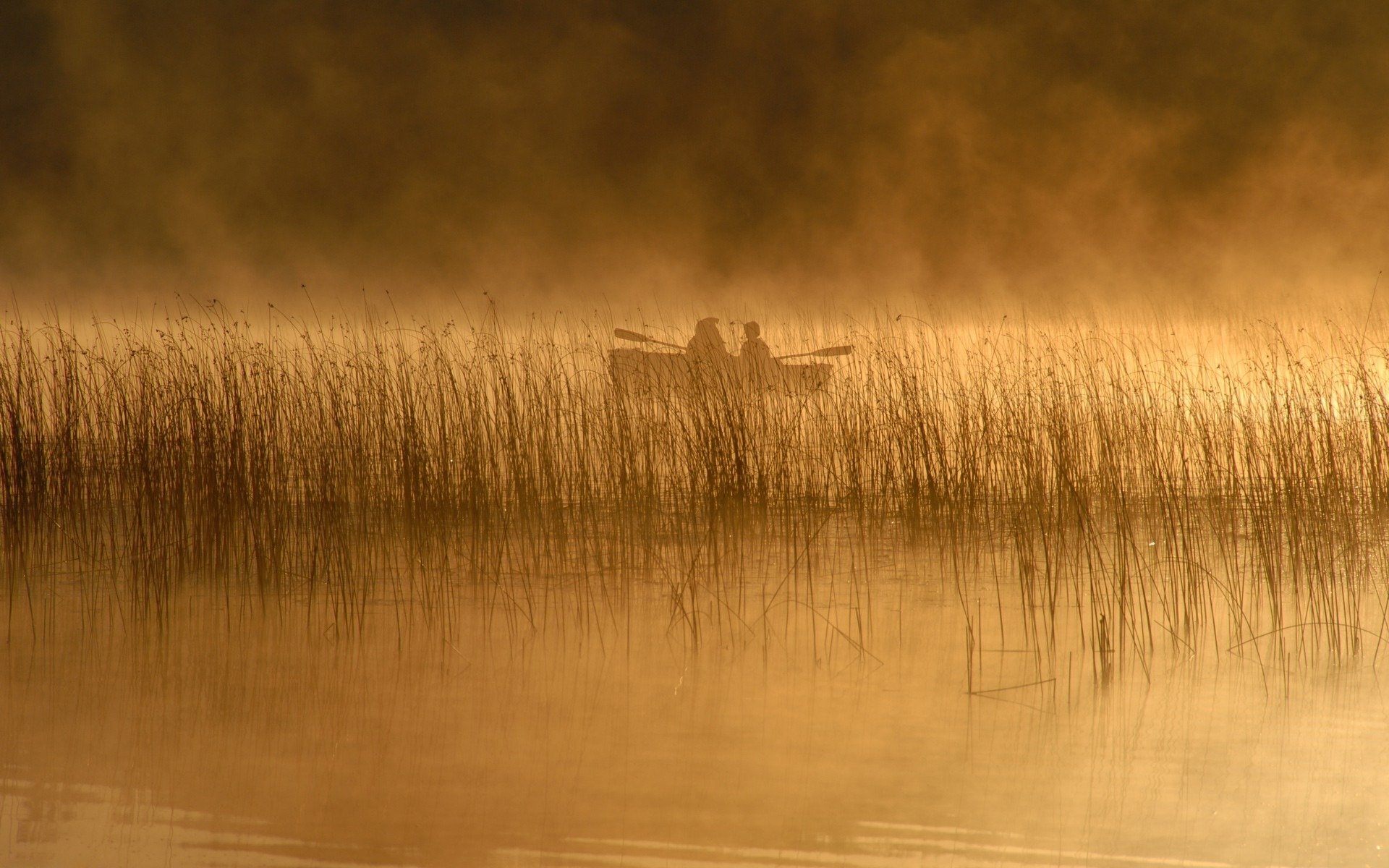 rivière roseau bateau gens lac rivière homme paysage nature