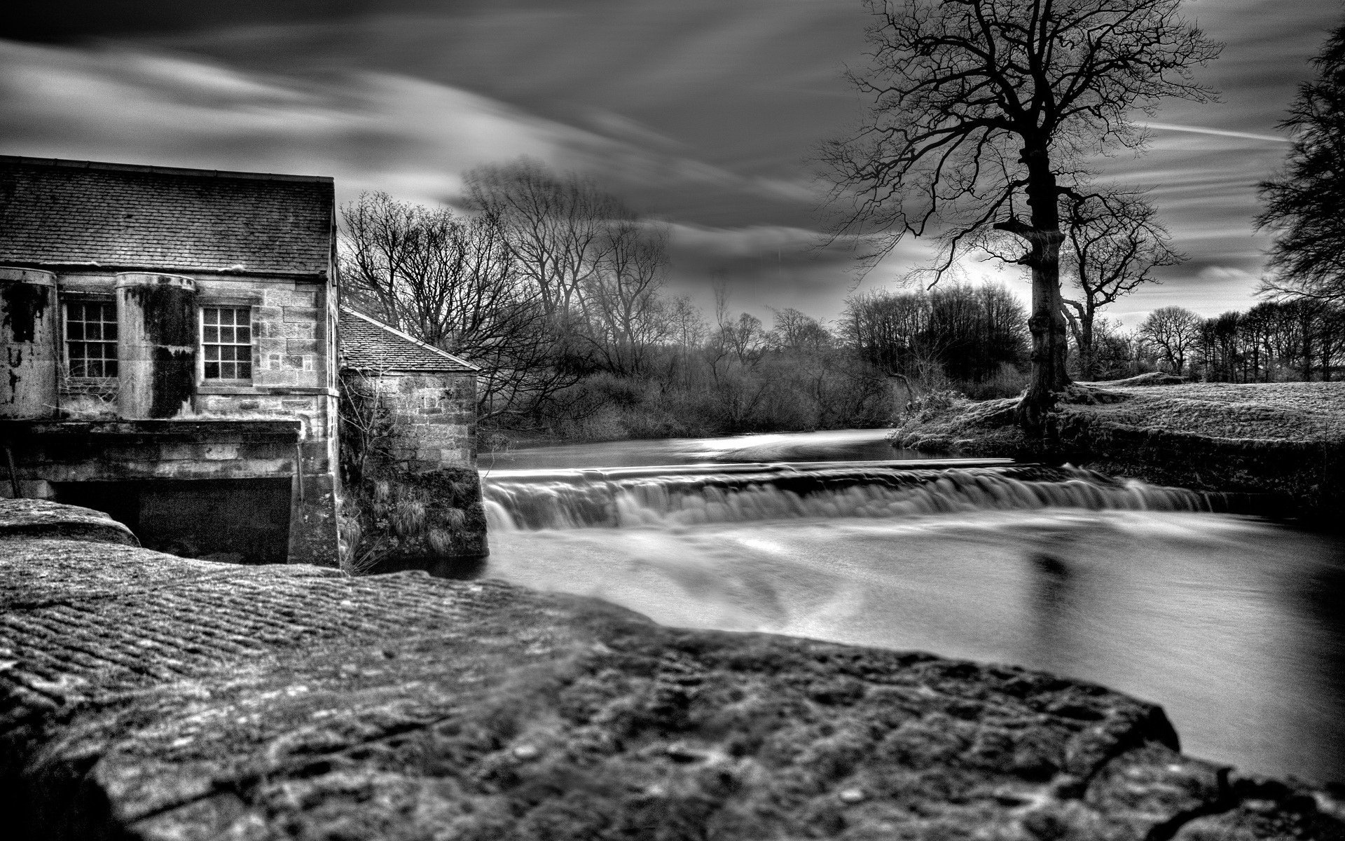 b / w presa agua árbol en la orilla