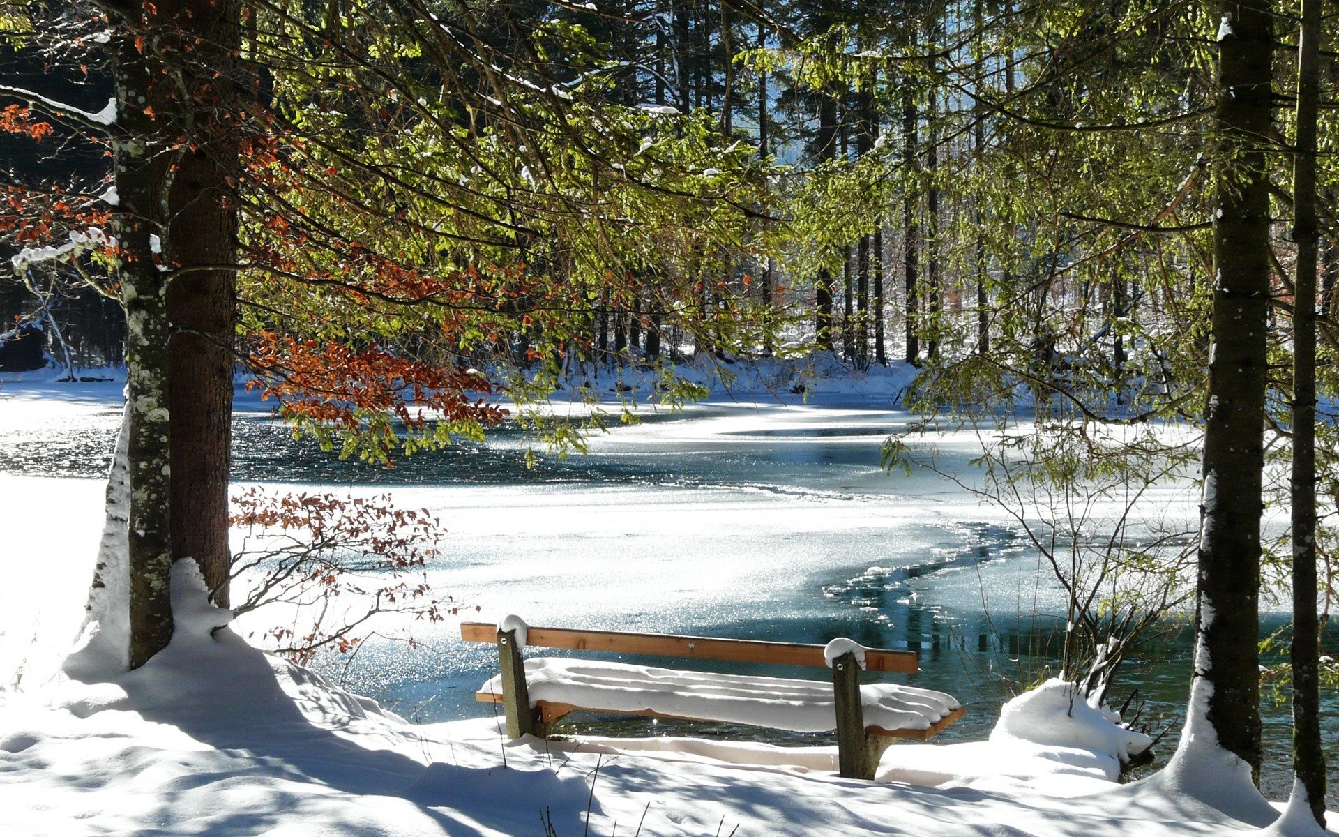 banco invierno frío río nieve árboles romántico