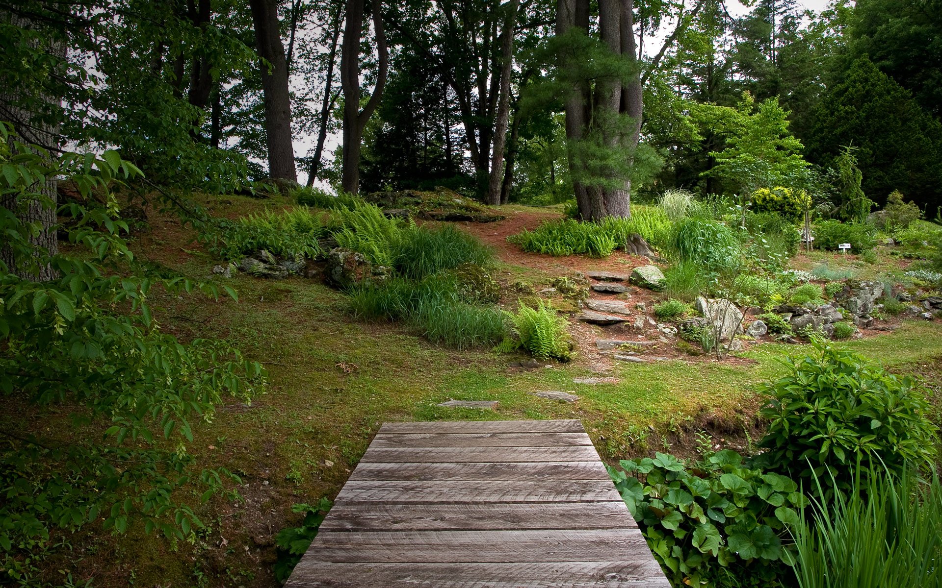 arbres herbe verdure pont jardin