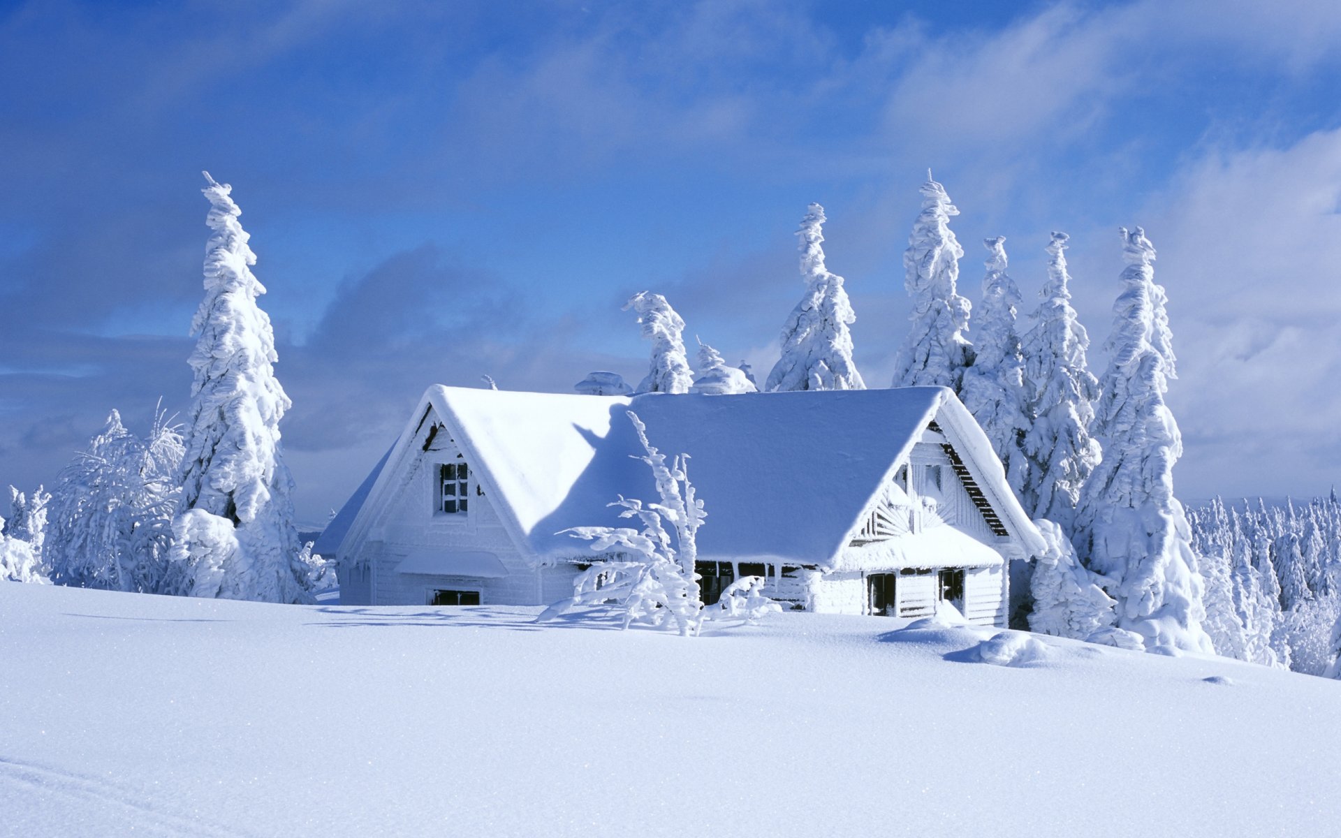 casa neve abete rosso cielo