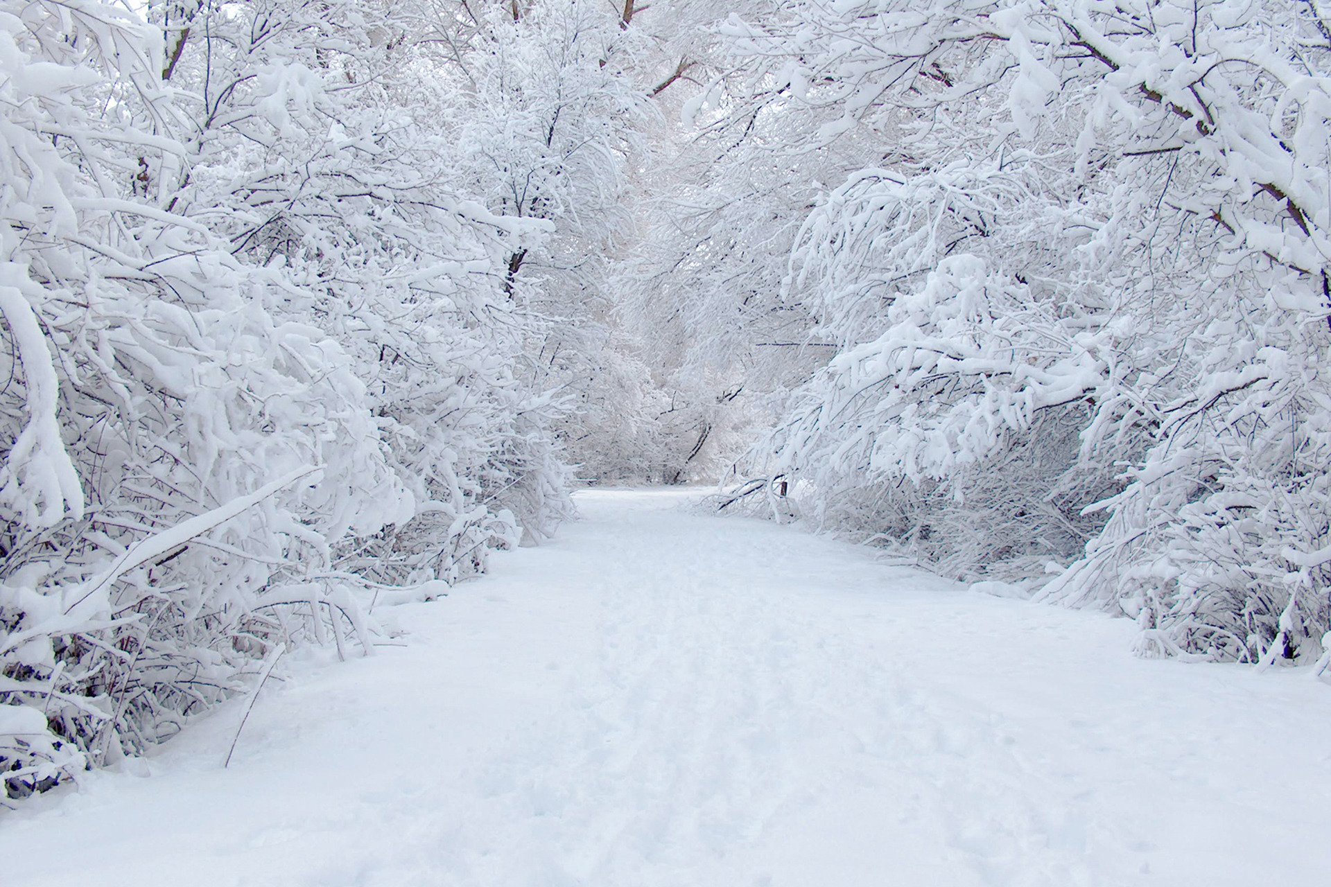 inverno strada neve