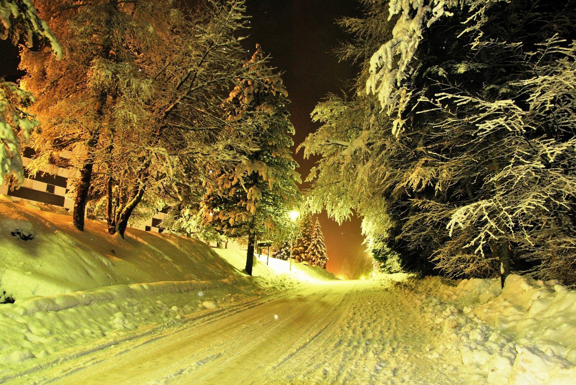 hiver route neige arbres lanternes