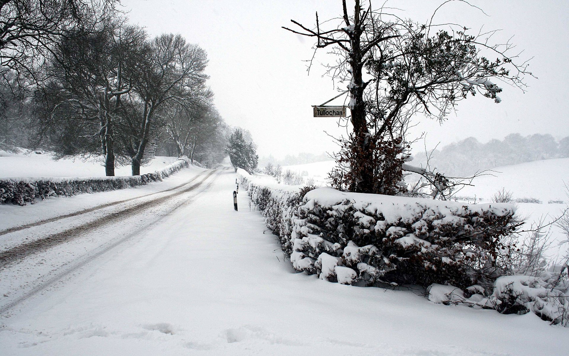 el invierno la nieve la carretera