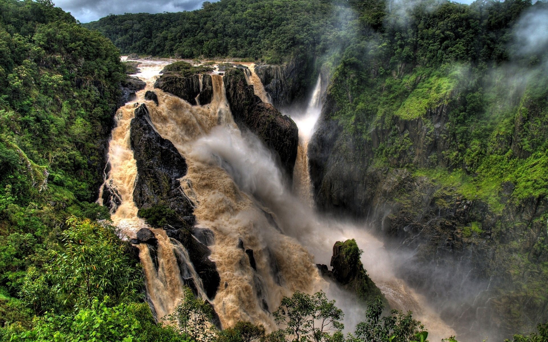 fluss wasserfall nebel bäume