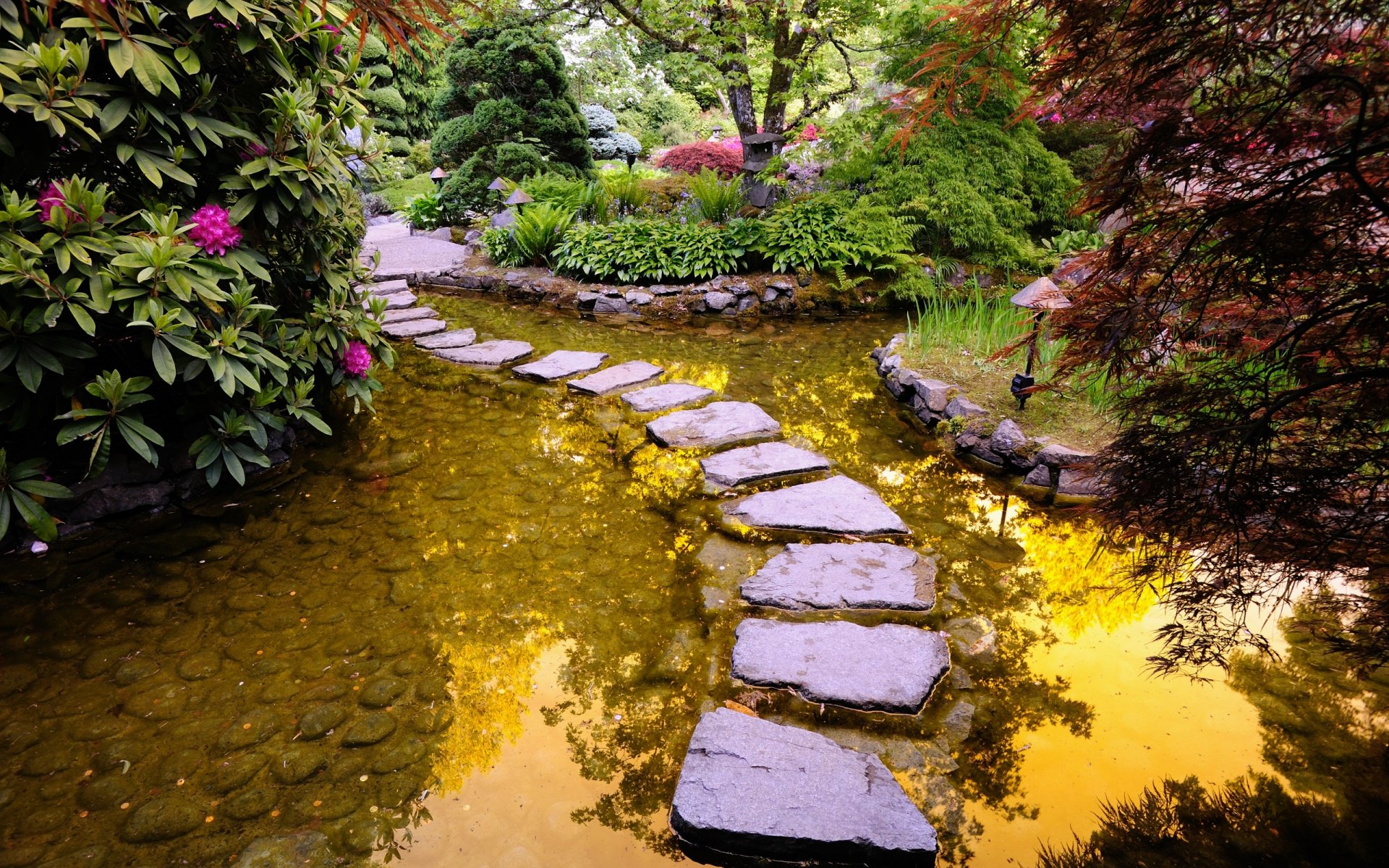 camino piedras río