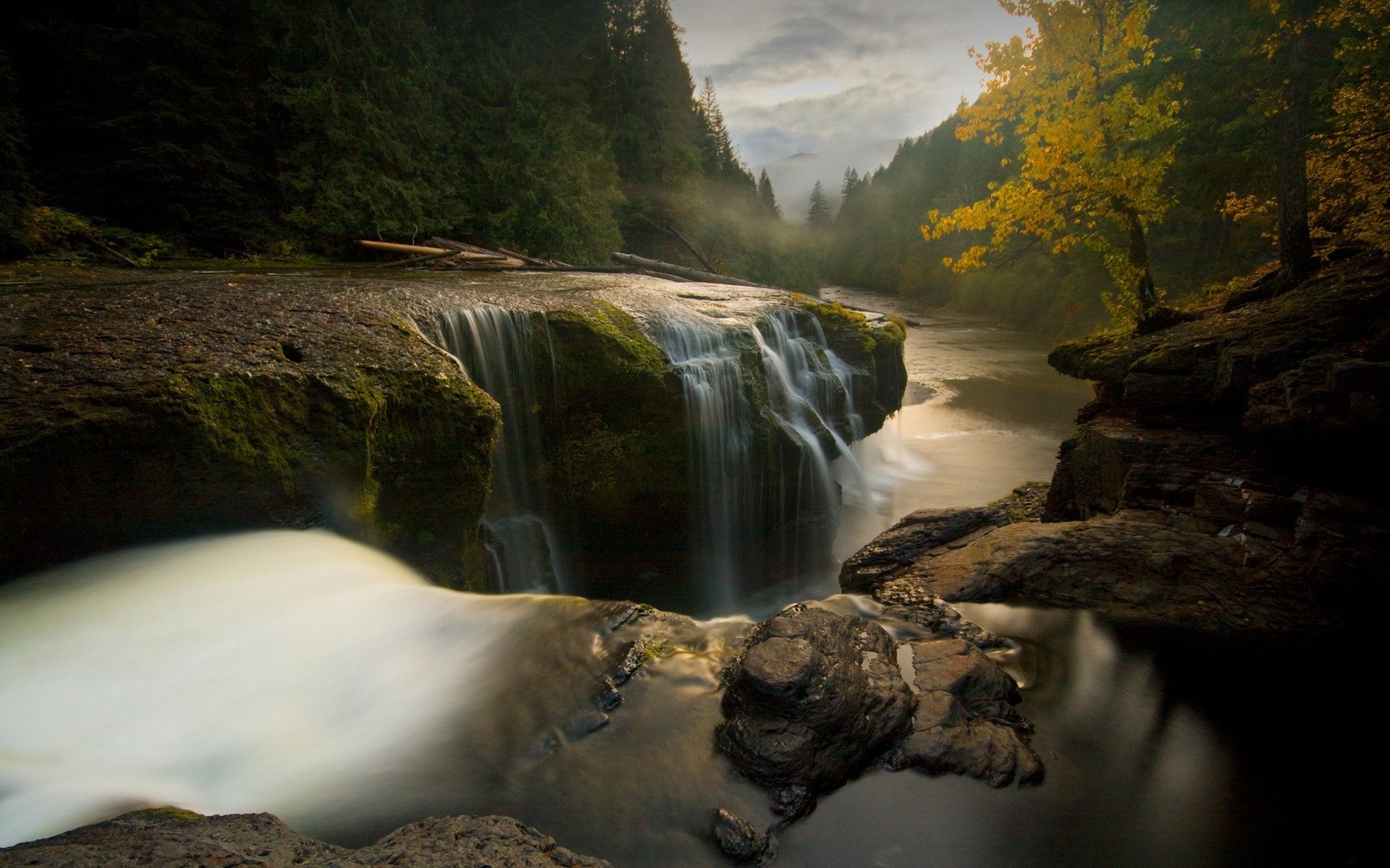 pierres rivière débit d eau arbres paysage