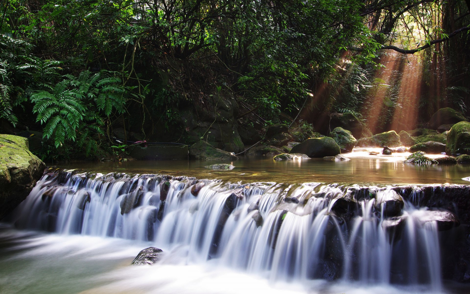 río cascada bosque árboles