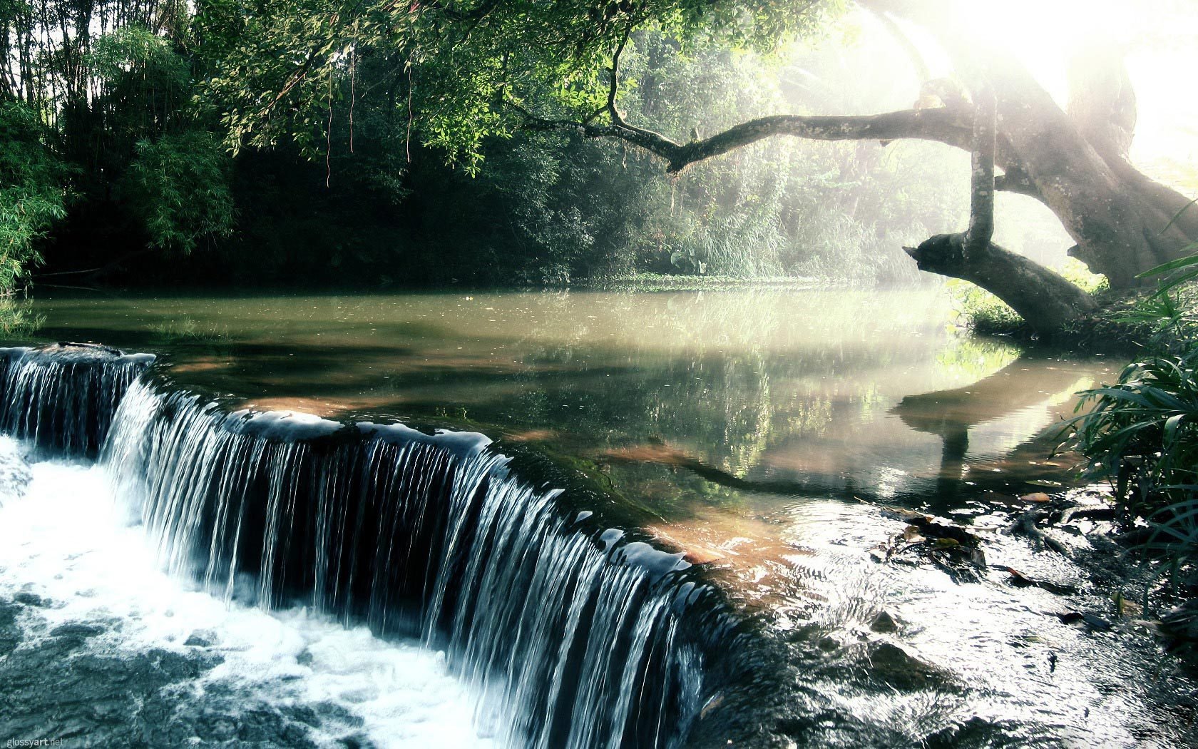 cascada río luz