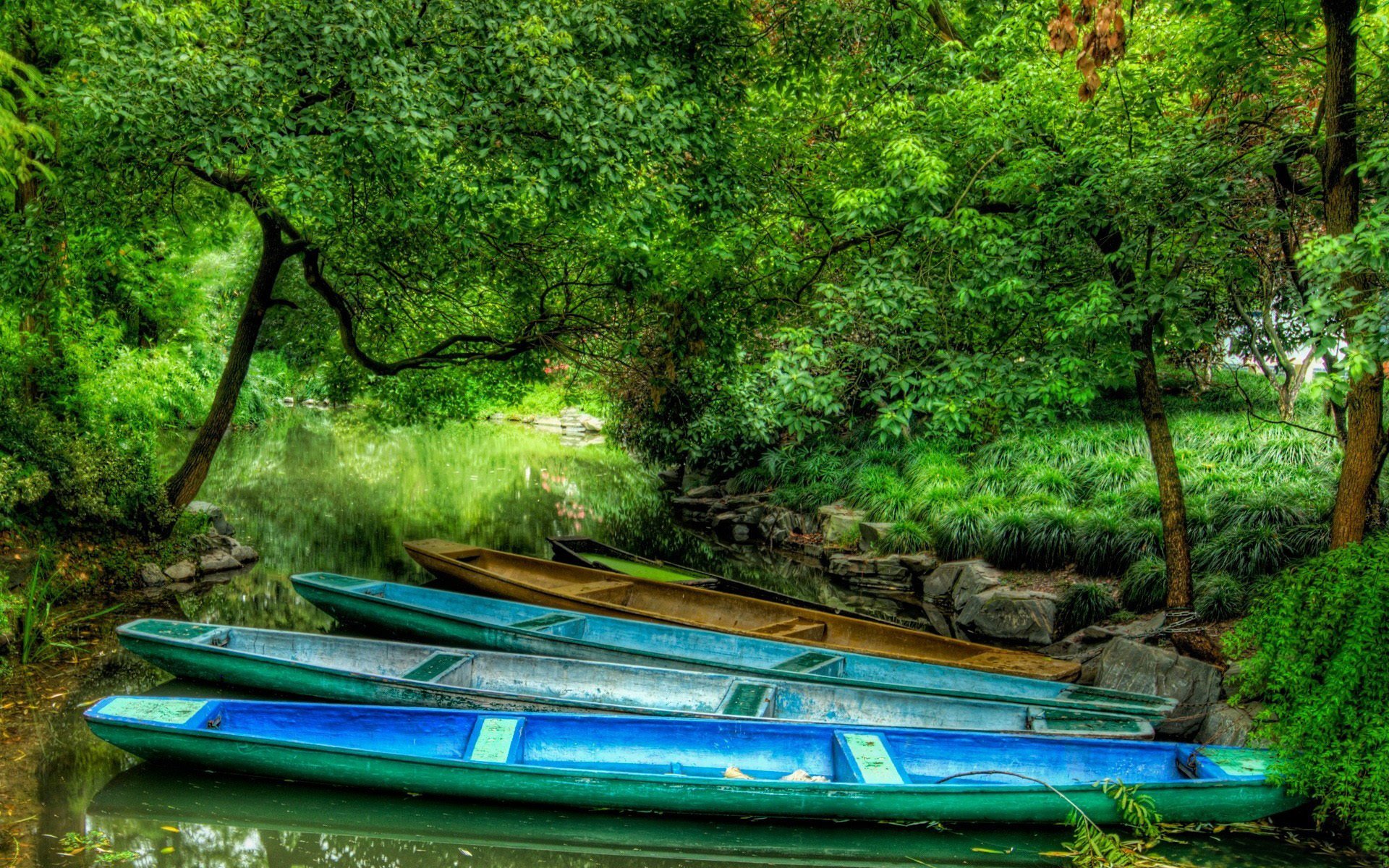 forêt rivière bateaux