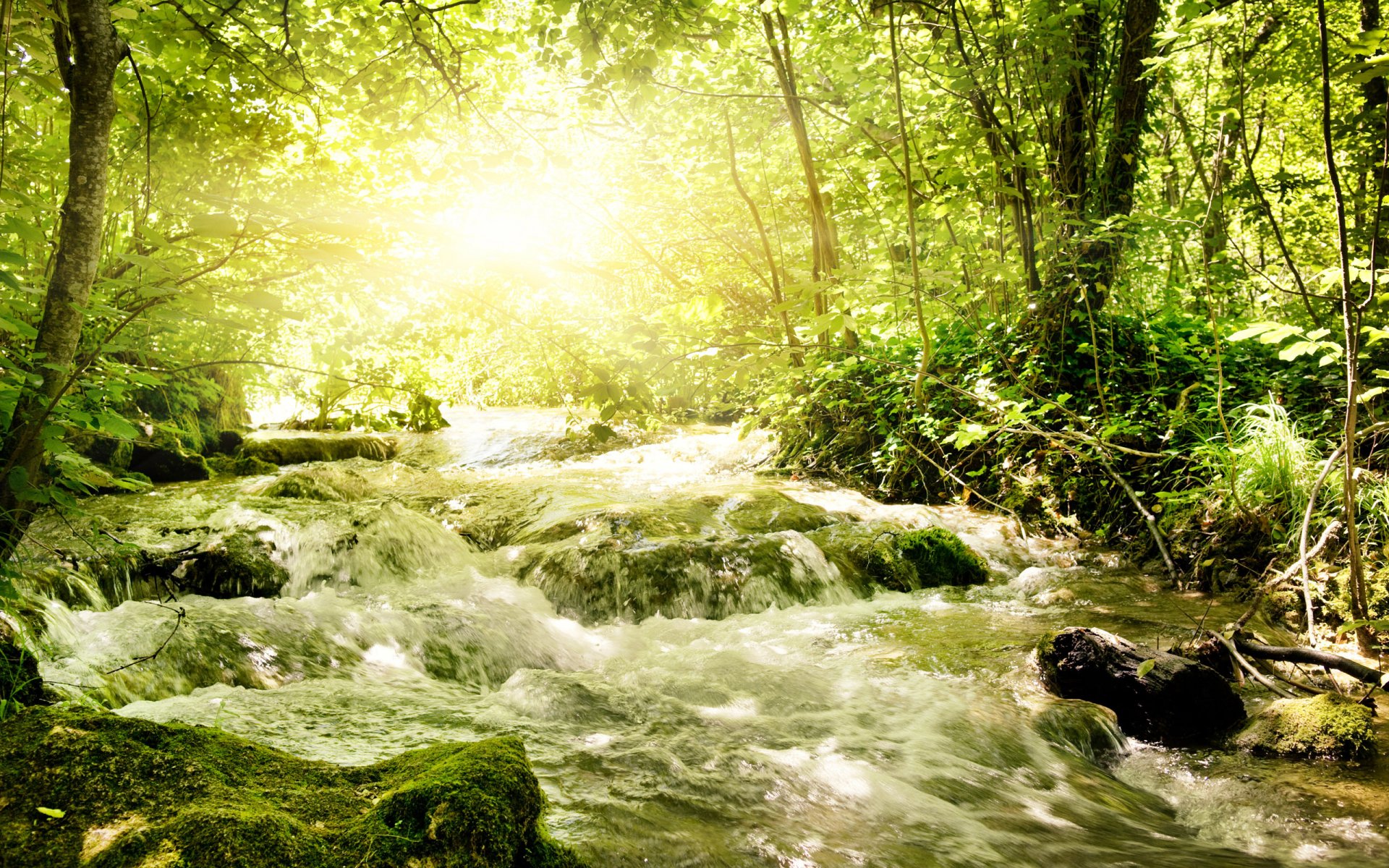 tormentoso río verde soleado.luz