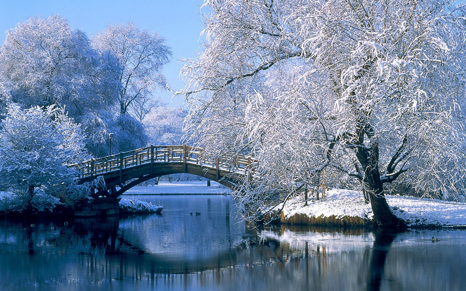 deutschland brücke winter