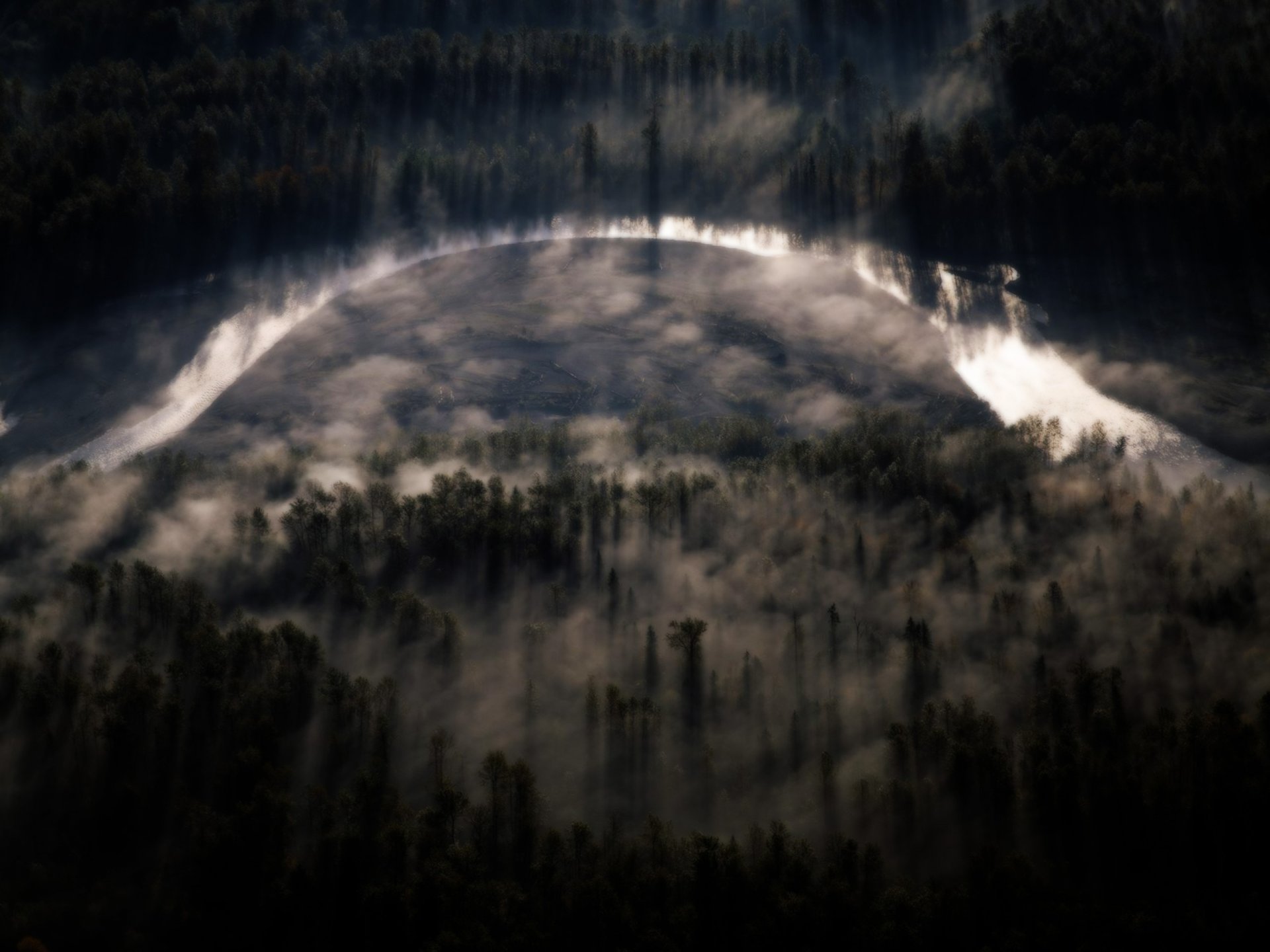 vue de dessus rivière arbres brouillard