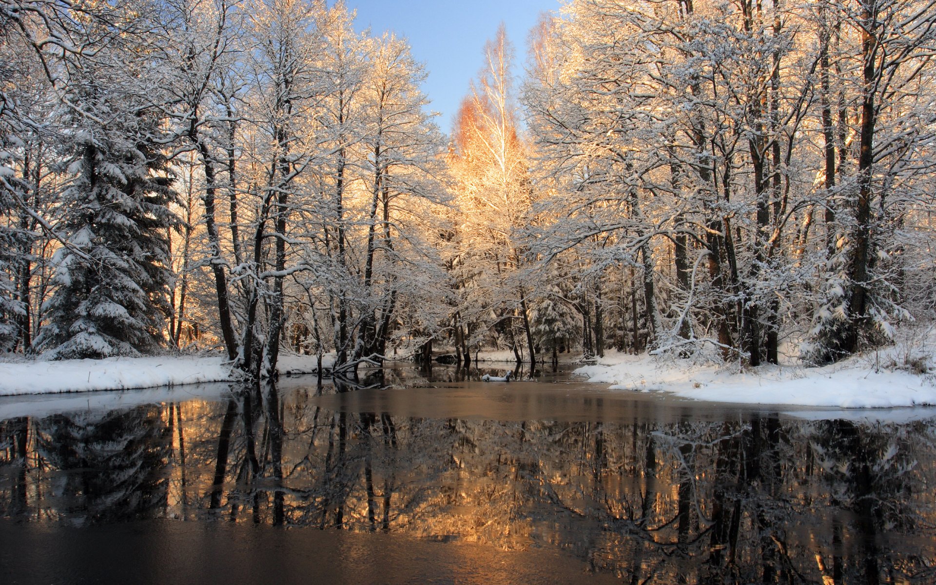 natur winter schnee bäume wasser foto