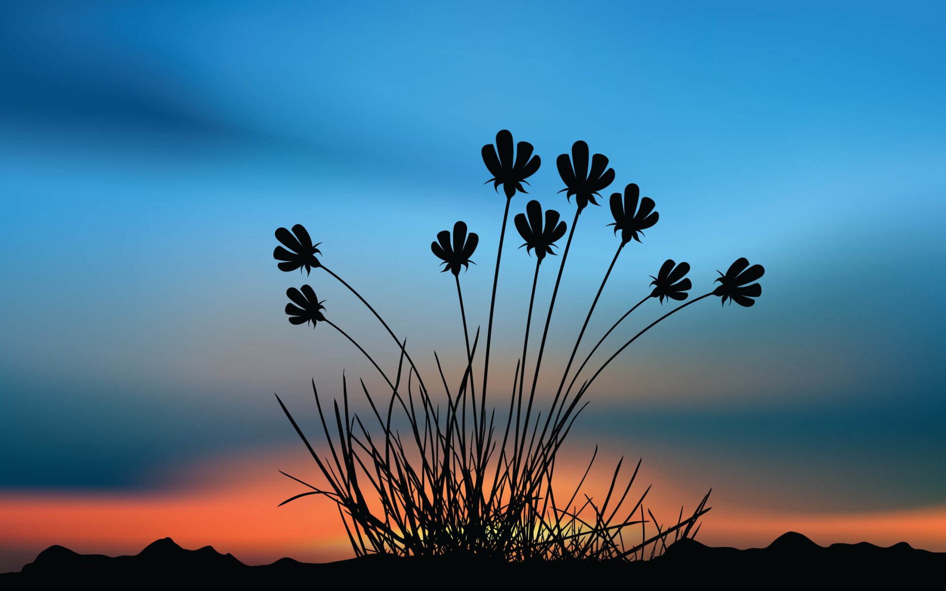 flower sunset sky landscape