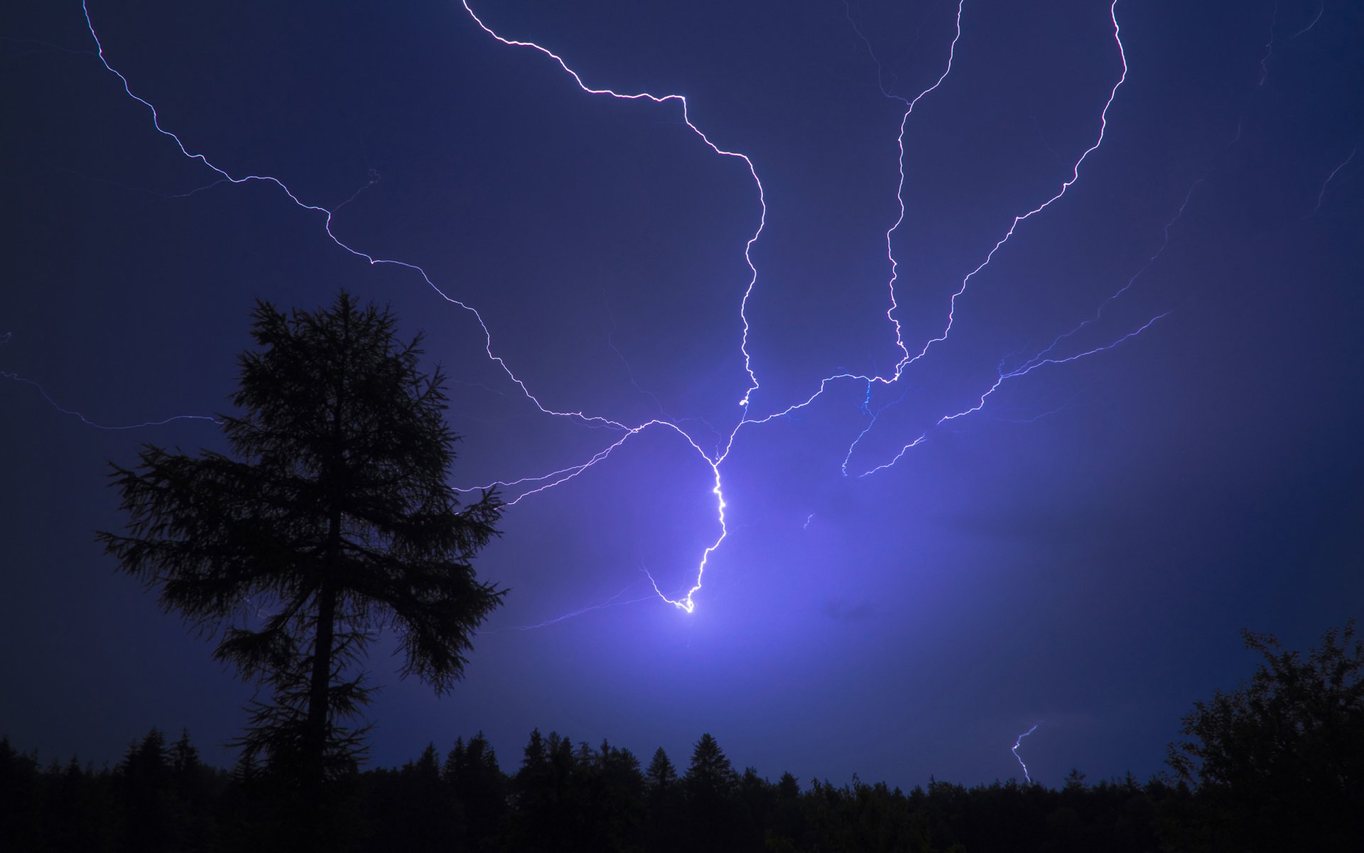 flash foudre arbre nuit