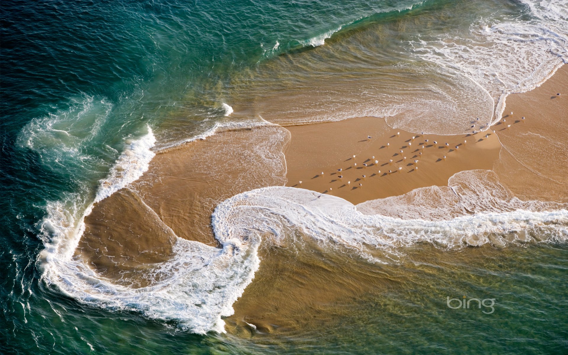 vague plage mer