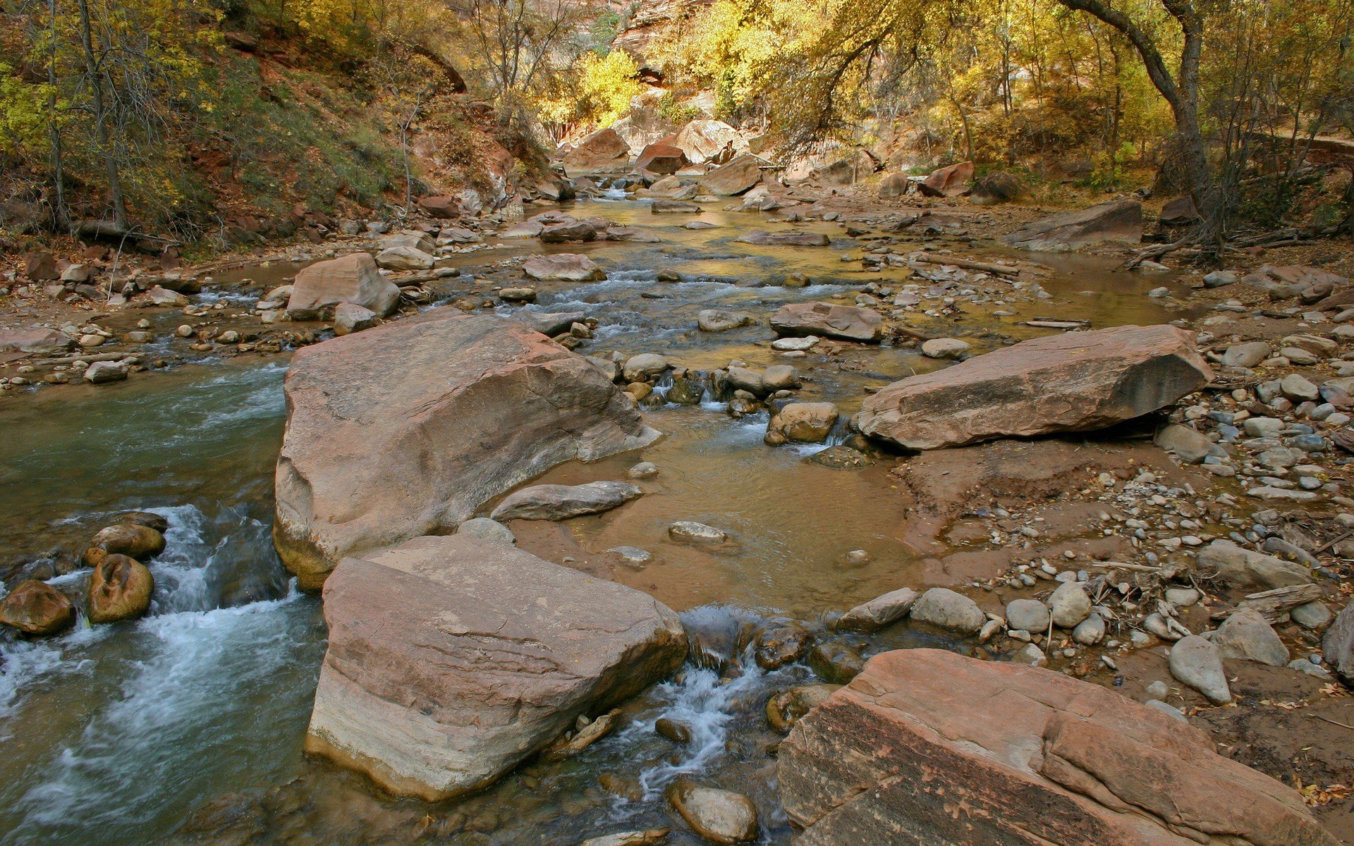 piedras agua río arroyo árboles