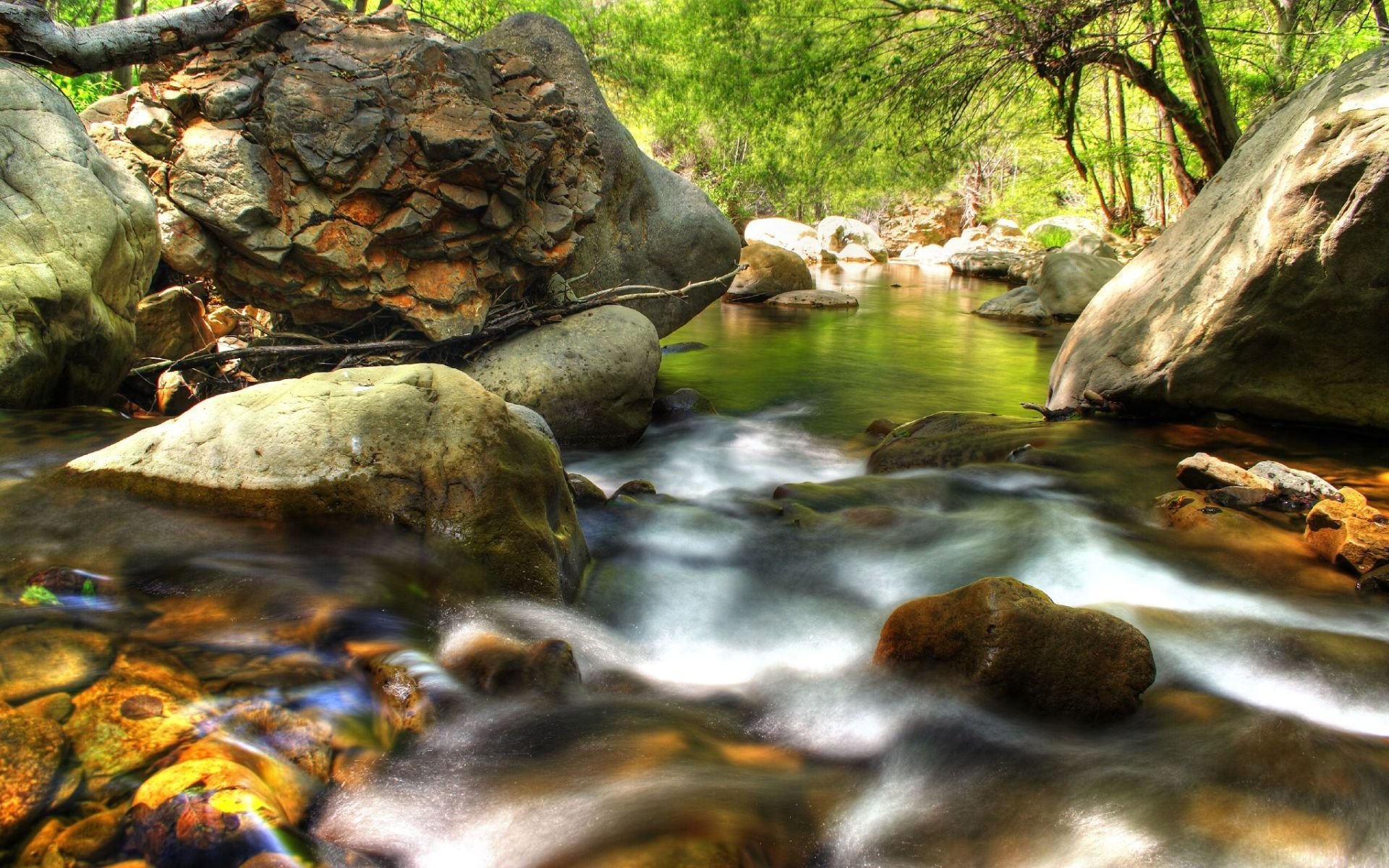 arroyo bosque piedras