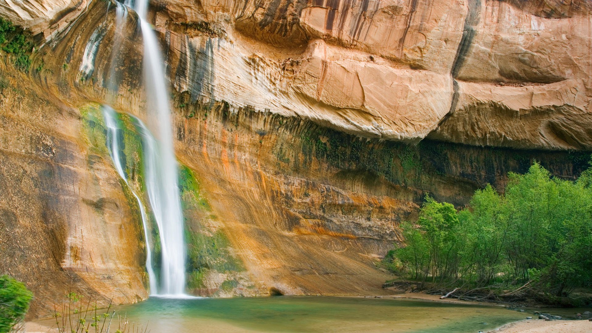 wasserfall felsen bäume