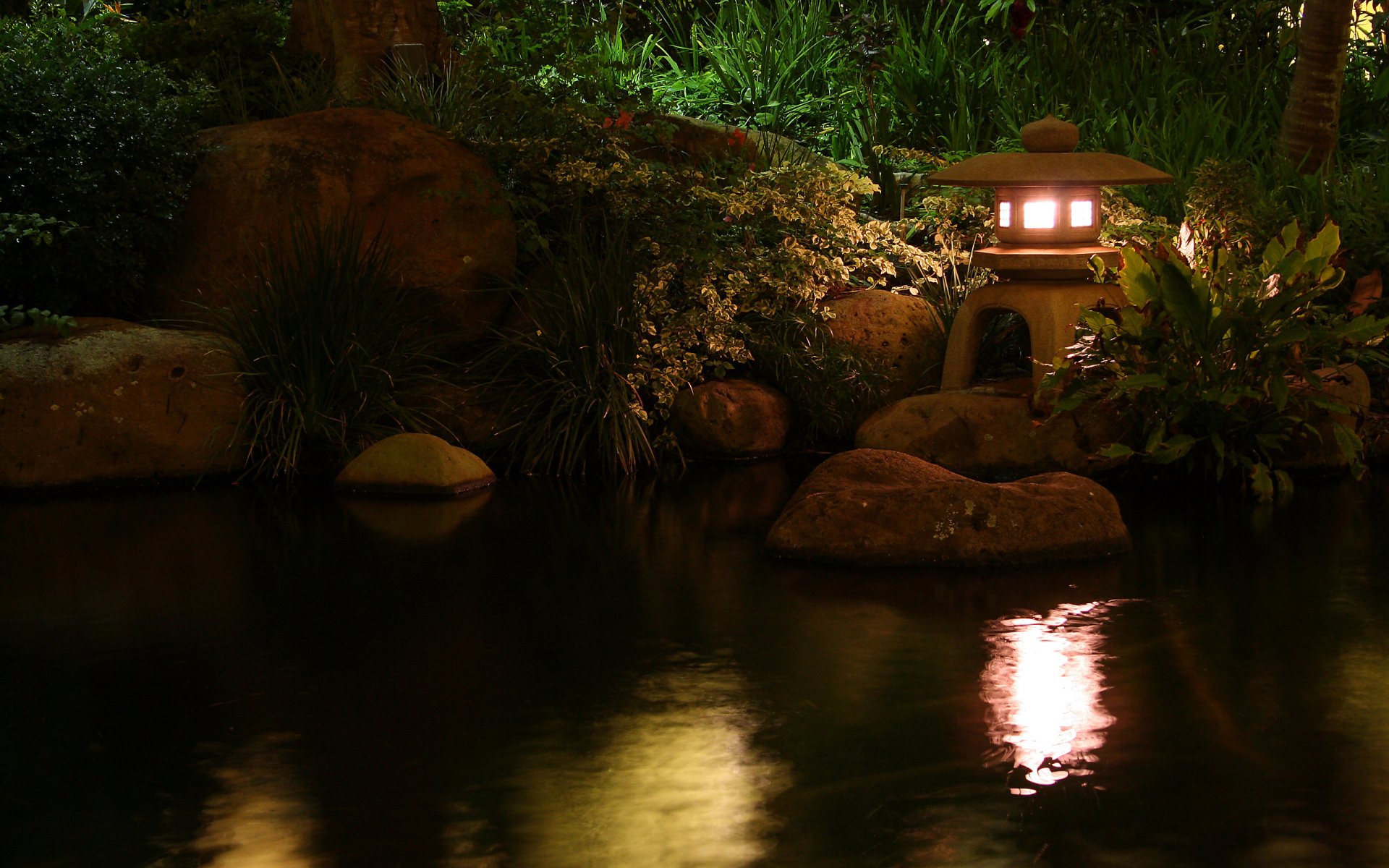 nature pond lamp lamp water