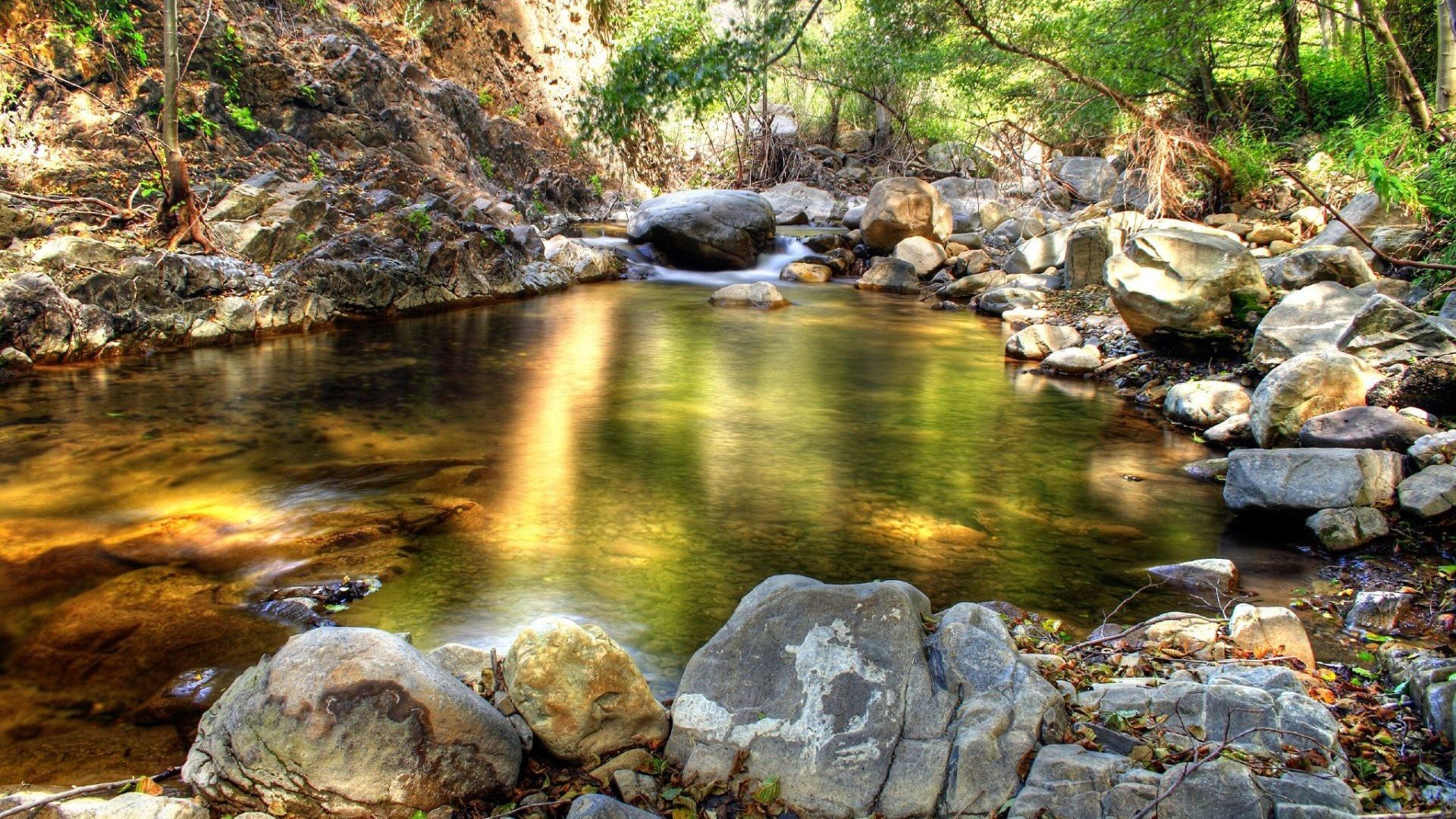 creek forest stone