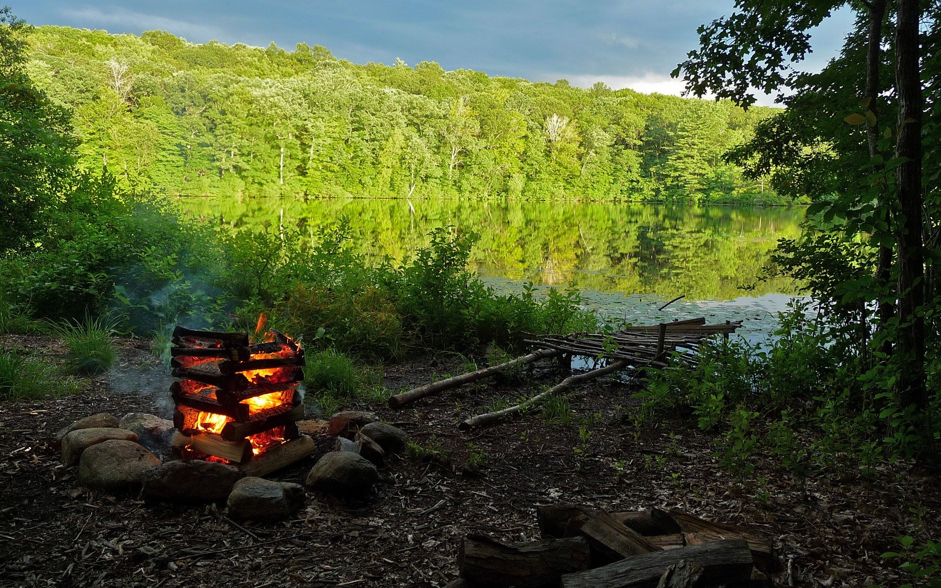 fire beach lake forest nature