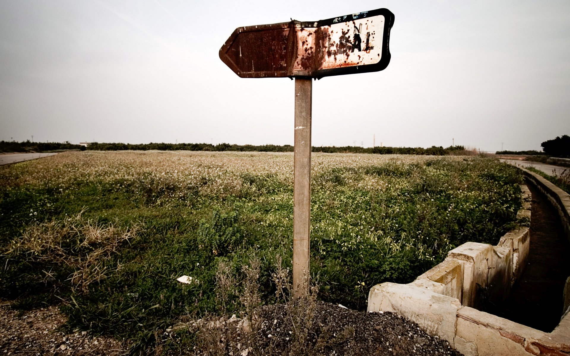 nature road developed signpost