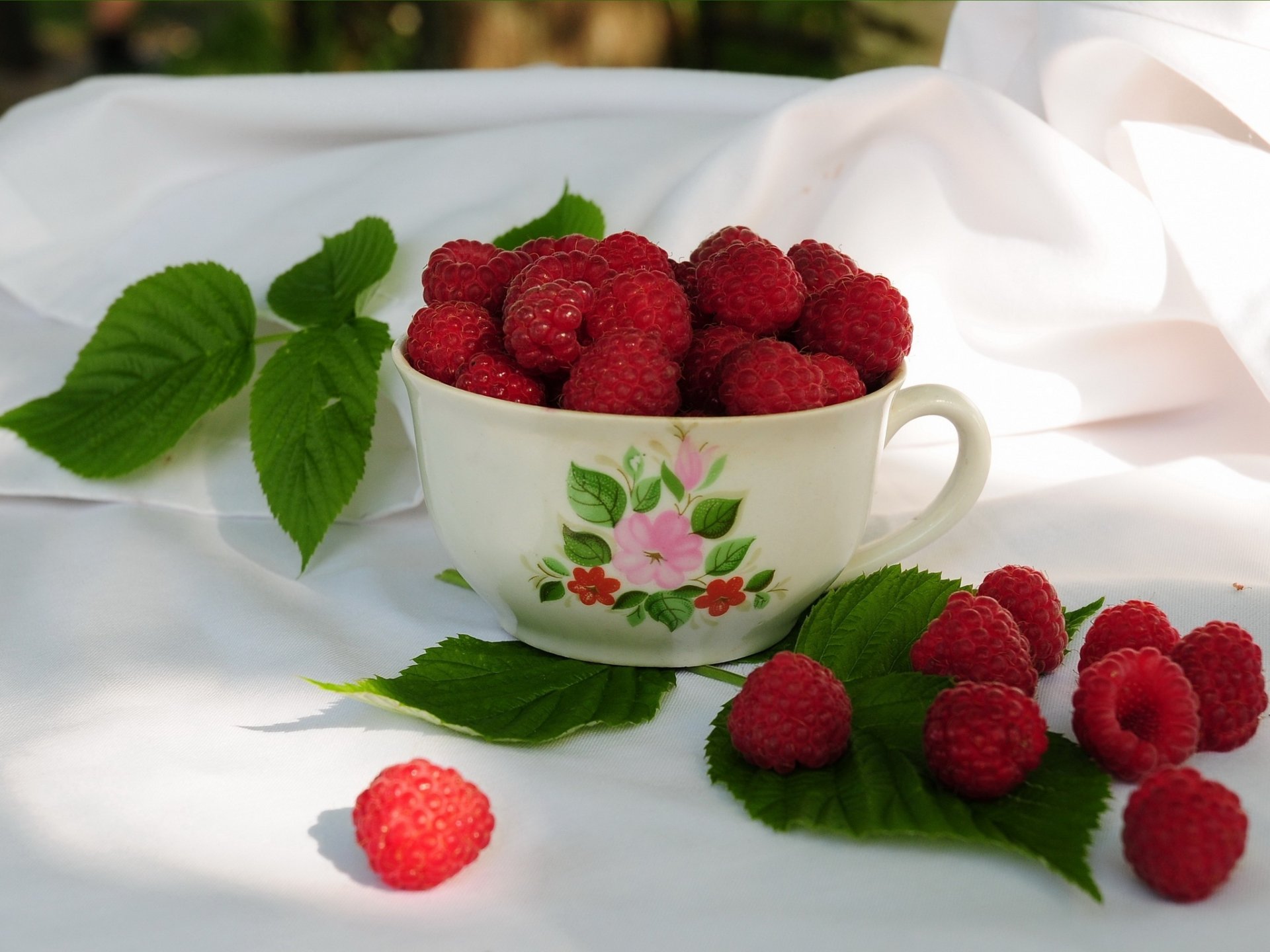 framboises tasse feuilles