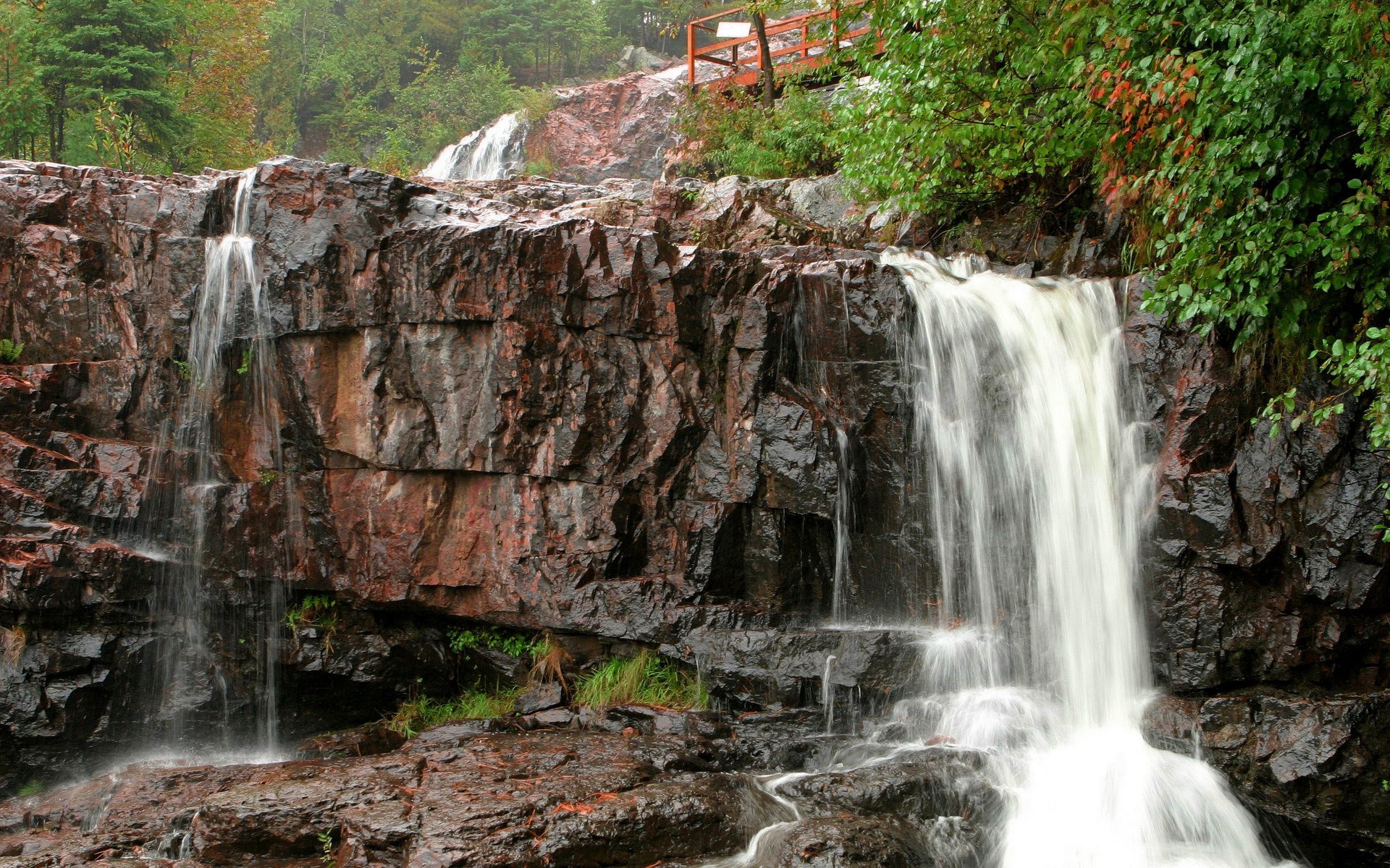 forêt pont blocs rochers cascade mouvement