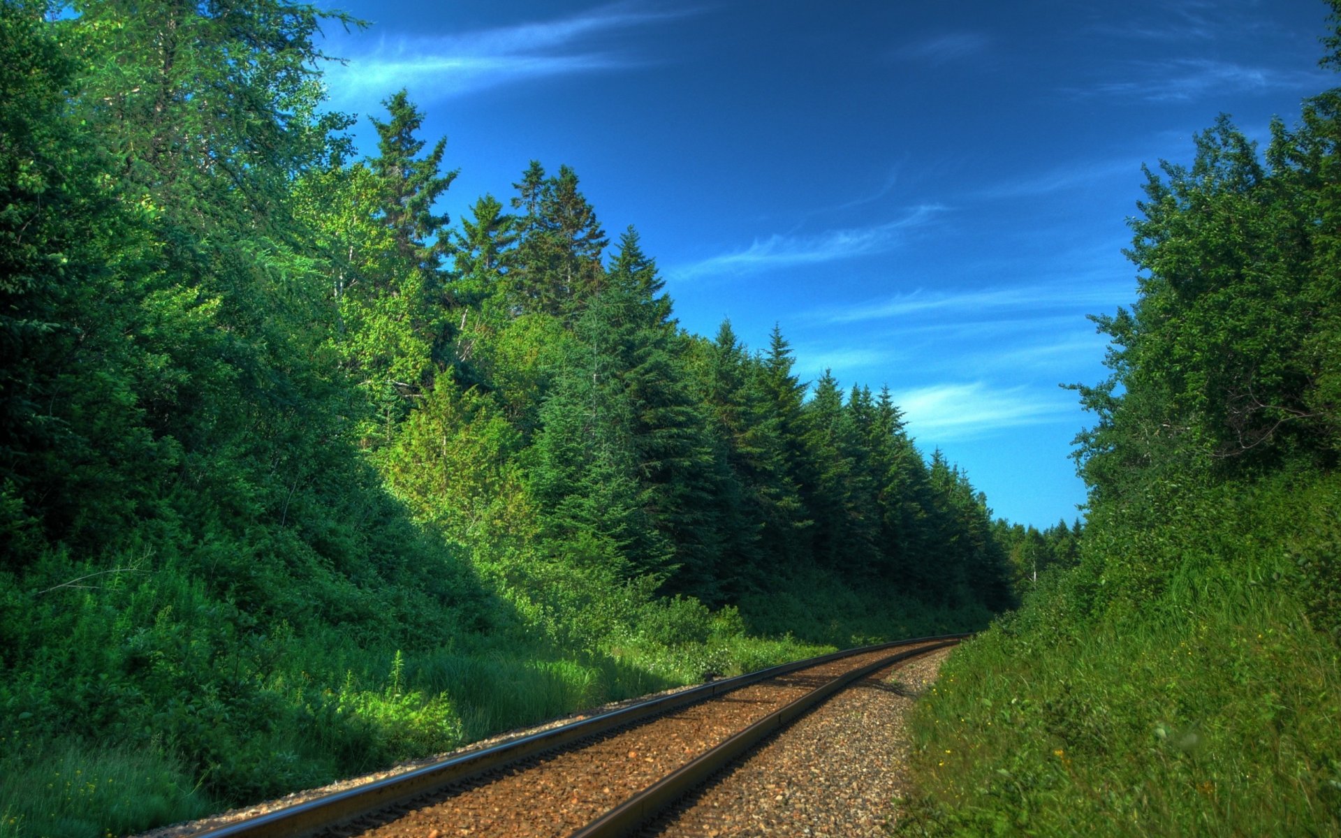 eisenbahn eisenbahnen wege schienen schwellen bäume wälder züge transport natur foto