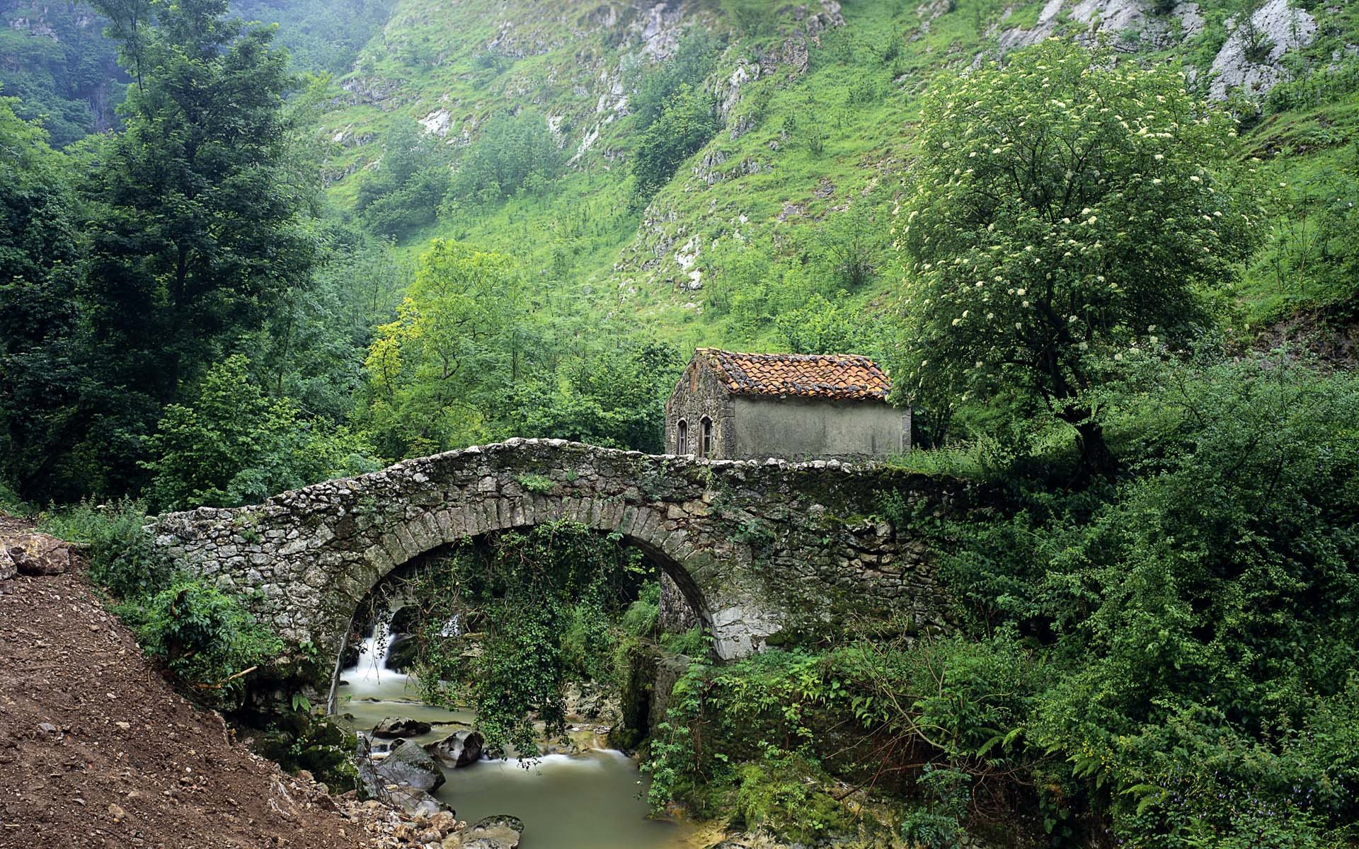 stein brücke haus