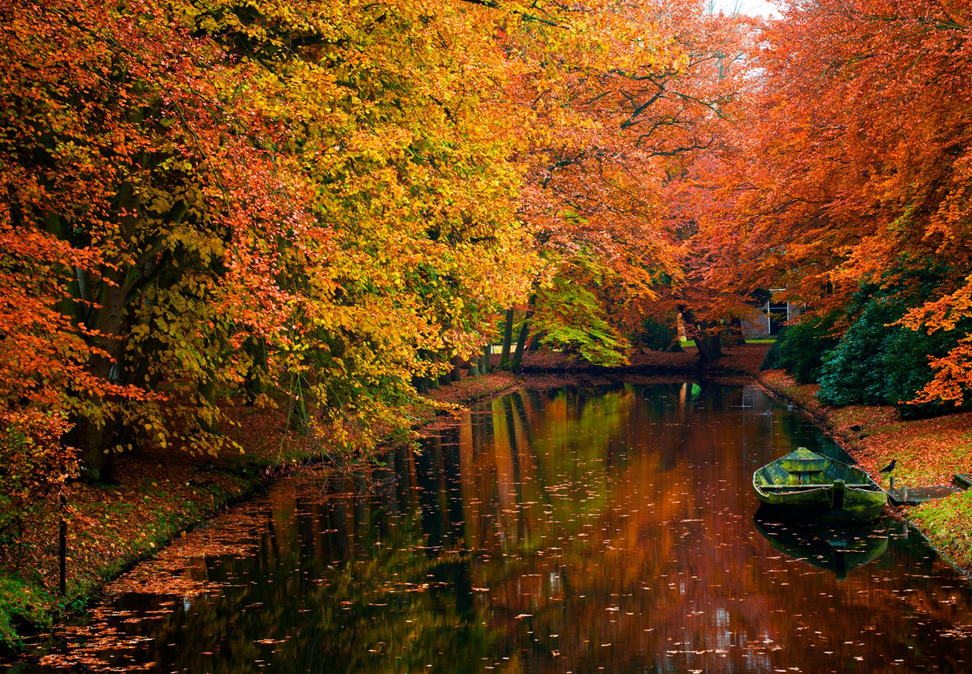 eau automne arbres romance beauté bateau photo