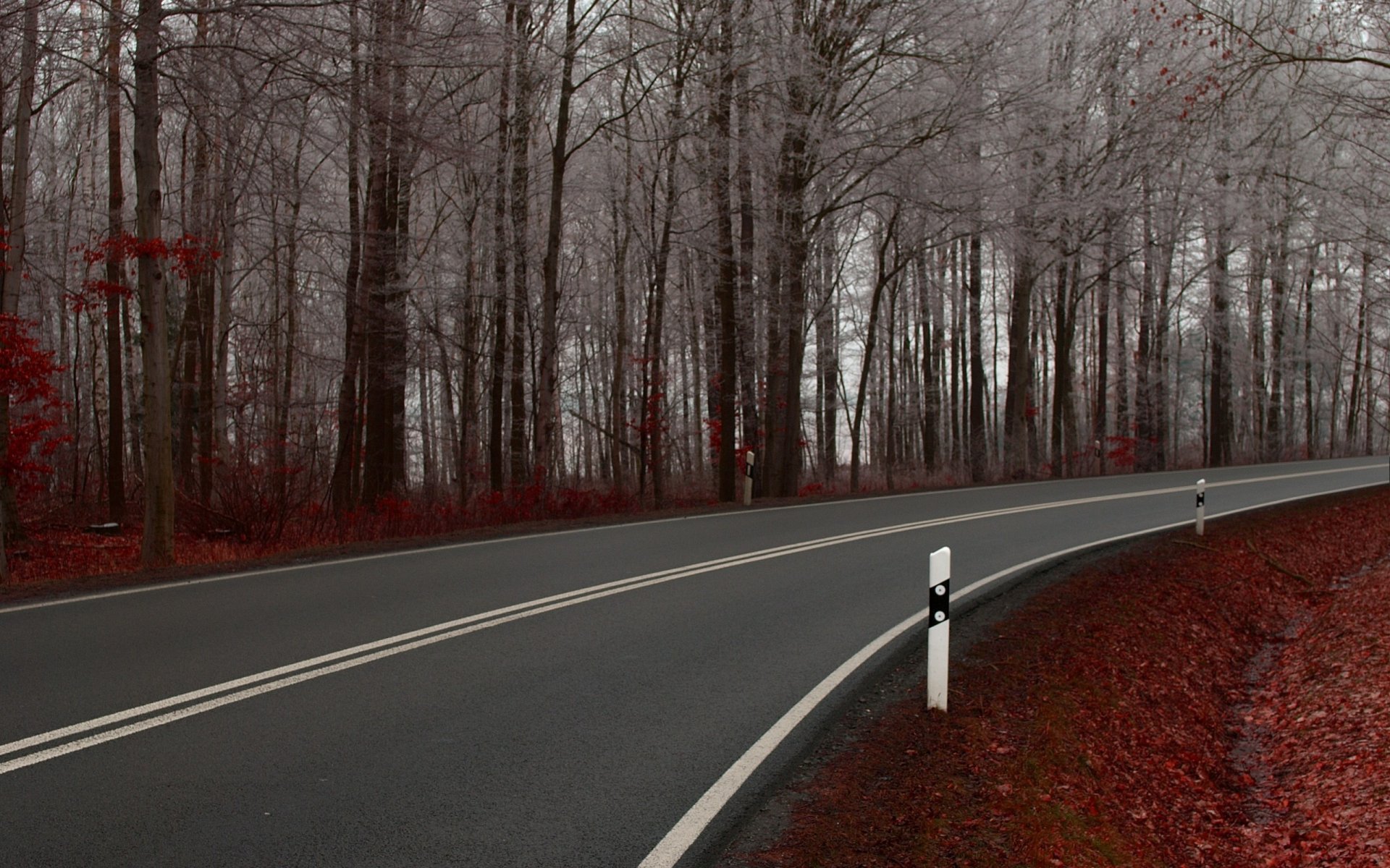 straßen straße weg weg bäume landschaften natur